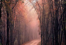 布莱顿大比分击败对手，提振信心