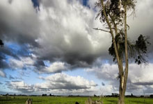 布莱顿大比分击败对手，提振信心