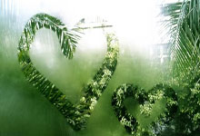 布莱顿大比分击败对手，提振信心