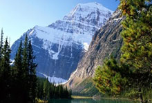 布莱顿大比分击败对手，提振信心