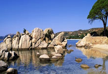 法国篮球甲级联赛新赛季开启，争夺冠军激烈