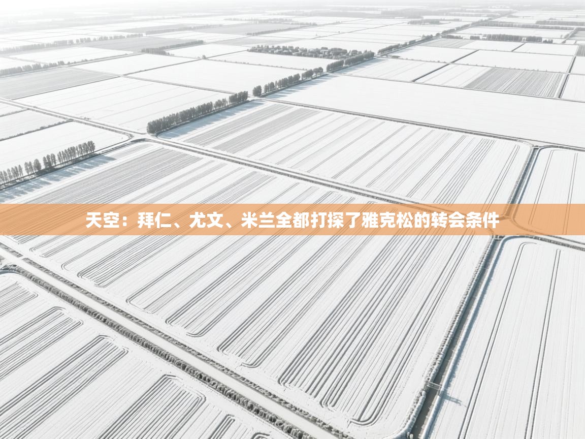 天空：拜仁、尤文、米兰全都打探了雅克松的转会条件