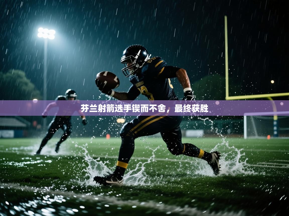 芬兰射箭选手锲而不舍，最终获胜  第2张